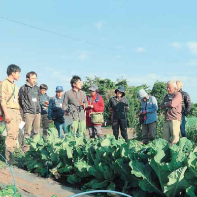 ◎◎「有機農業実践講座 秋冬野菜栽培」のご案内◎◎