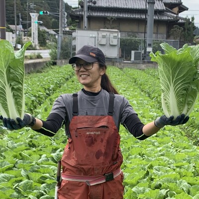 ミニ白菜出荷始まりました！