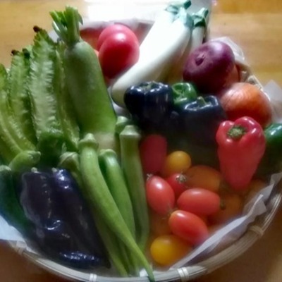 ～農薬/化学肥料・不使用＊野菜便→定期購入＊新会員様を募集中‼