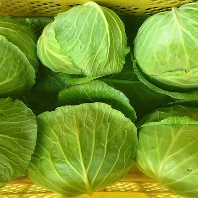 う～ん甘い！ずっしり重いキャベツ5個～農薬化学肥料不使用