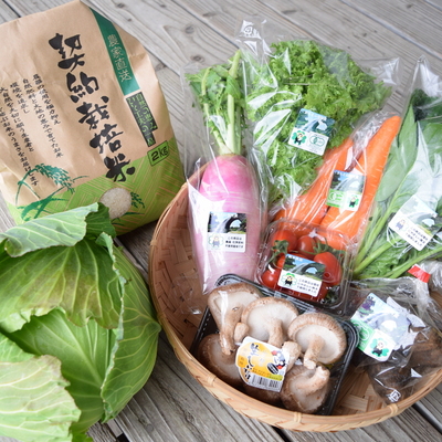 有機認証登録事業者数日本一の熊本県山都町から有機野菜をお届けします。