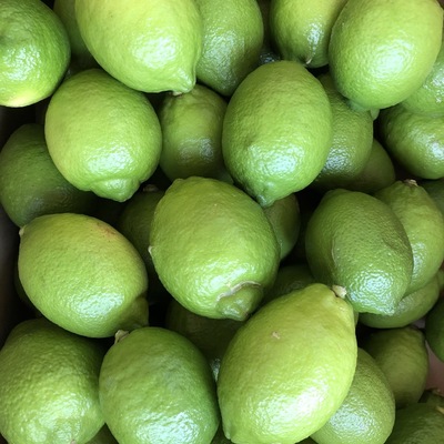 【有機JAS認証】オーガニックグリーンレモン本格販売開始！
