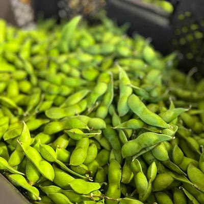丹波黒枝豆（さやのみ）量り売り・バラ500g〜始めました！