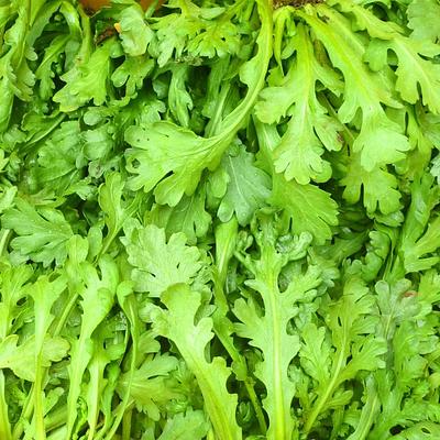 香りの力❗春菊1キロ～農薬化学肥料不使用