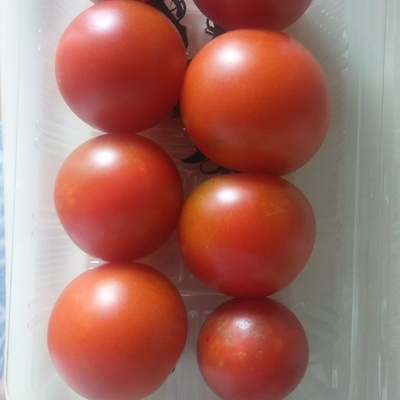 中玉トマト🍅オーガニック